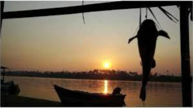 Sri Lankan Navy arrests 28 Tamil Nadu fishermen for crossing maritime border